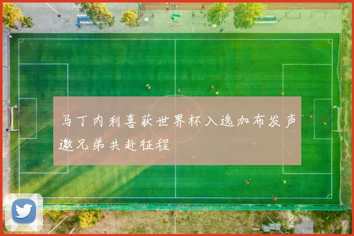 马丁内利喜获世界杯入选加布发声邀兄弟共赴征程