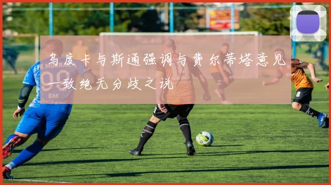 乌度卡与斯通强调与费尔蒂塔意见一致绝无分歧之说