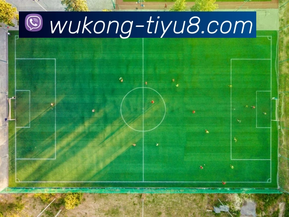 悟空体育APP 封面图